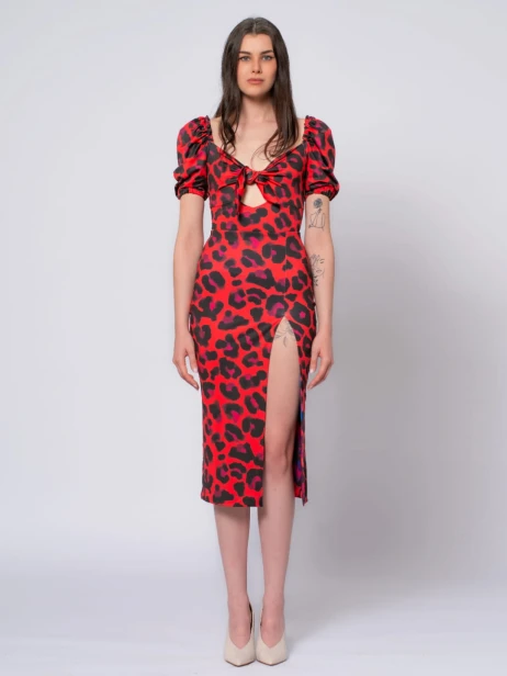 Czerwona bluzka w panterkę .jpg